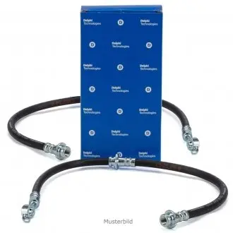 LH6919 Тормозной шланг LH6919 DELPHI DELPHI подбор по vin на Brocar
