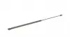 430719034100 Амортизатор капоту Opel Vectra 02-08 MAGNETI MARELLI підбір по vin на Brocar