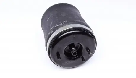 0830047 Подушка пневмопідвіски (ззаду) BMW X5 00-06 (R) TRUCKTEC підбір по vin на Brocar