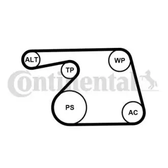 6PK1318K2 Комплект (ремінь+ролики) CONTITECH підбір по vin на Brocar