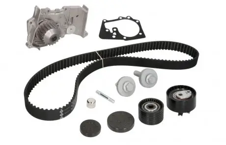 530063930 К-кт ГРМ з помпою Renault Clio III/Megane/Scenic (BR0/1,CR0/1) 1.616V 06/05 1,6 K4M801, K4M800 INA підбір по vin на Brocar