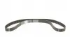 CT1101WP1 Комплект ГРМ + помпа Citroen C4/Peugeot 307 1.4 16V 03- (25x135z) CONTITECH підбір по vin на Brocar