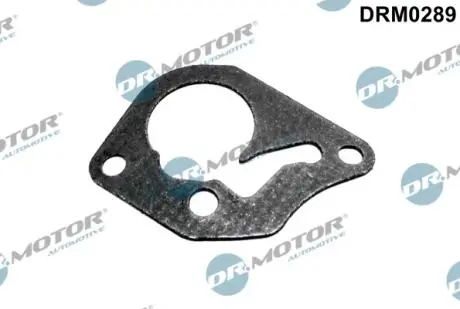 DRM0289 Прокладка помпи вакуумної DR.MOTOR підбір по vin на Brocar