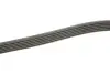 529020810 Комплект ремня генератора VW Caddy IV 1.6 15-20 (6PK1003) INA підбір по vin на Brocar