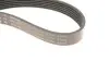 529020810 Комплект ремня генератора VW Caddy IV 1.6 15-20 (6PK1003) INA підбір по vin на Brocar