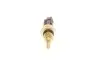TS10509 Датчик температури масла SX4 DELPHI підбір по vin на Brocar