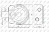 Радиатор масляный Renault Kangoo/Master/Trafic/Opel Movano 1.5/1.9D/DTI/dCi 01- (теплообменник) 31247
