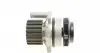 CT1028WP2 Комплект ГРМ + помпа VW Golf 00-06/Ford Galaxy 00-06/Audi A3/A6 1.9TDI 00-05 (30x120z) CONTITECH підбір по vin на Brocar