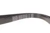 6PK1245DT Ремень генератора Citroen Jumpy 2.0HDI 10- (6PK1245) DAYCO підбір по vin на Brocar