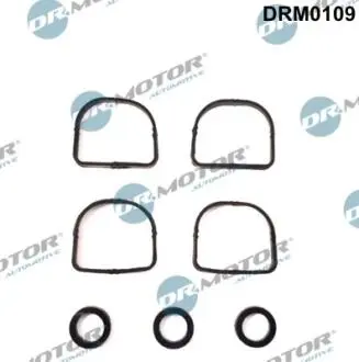 DRM0109 Прокладка колектора SSĄCEGO BMW (4+3SZT) Комплект прокладок, впускний колектор DR.MOTOR підбір по vin на Brocar