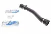 Патрубок радіатора (нижній) BMW 3 (E46) 1.8i/2.0i 01-07 224691