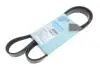 Ремень генератора Fiat Palio 1.2 97-/Land Rover Freelander 1.8i 98-06/ Toyota Corolla 2.0 D-4D 97-04 AD05R1188