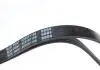 AD05R1188 Ремінь генератора Fiat Palio 1.2 97-/Land Rover Freelander 1.8i 98-06/ Toyota Corolla 2.0 D-4D 97-04 BLUE PRINT підбір по vin на Brocar