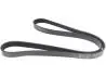 AD05R1188 Ремінь генератора Fiat Palio 1.2 97-/Land Rover Freelander 1.8i 98-06/ Toyota Corolla 2.0 D-4D 97-04 BLUE PRINT підбір по vin на Brocar