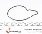 PA1226 Помпа воды Audi A6/A7 2.8FSI/FSI quattro 11-/Audi A8 2.5TFSI 12- (R/B 4PT) (6 лоп) (switchable) GRAF підбір по vin на Brocar