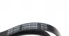 AD04R1020 Ремінь генератора Suzuki Grand Vitara 2.5-2.7 98-03/ Honda Accord/Prelude 2.2-2.3 96-03 BLUE PRINT підбір по vin на Brocar