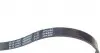 AD05R880 Ремінь генератора Citroen Berlingo 1.1-1.4 96-/ Subaru Forester/ Impreza/ Legacy 1.6-2.5 92-09 BLUE PRINT підбір по vin на Brocar