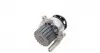 538032510 Помпа води Seat Cordoba/Ibiza/Skoda Fabia/VW Polo 1.9SDI 47Kw 99-12 (19z) INA підбір по vin на Brocar