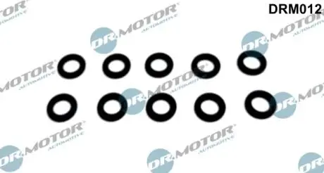 DRM012 Уплотнительное кольцо DR.MOTOR подбор по vin на Brocar