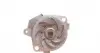 CT968WP2 Комплект ГРМ + помпа Fiat Doblo/Stilo/Punto/Bravo 1.9D/JTD 01- (24x190z) (помпа WP6015) CONTITECH підбір по vin на Brocar
