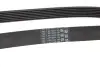 7PK1051ELAST Дорожечный пас CONTITECH підбір по vin на Brocar