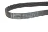 7PK1051ELAST Дорожечный пас CONTITECH підбір по vin на Brocar
