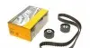 Комплект ГРМ Citroen Jumper/Peugeot 605/Boxer 2.5D 94-02 (28x141z) CT891K1