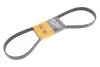6PK1120EXTRA PASEK WIELOROWKOWY 6PK1120EXTRA CONTITECH підбір по vin на Brocar