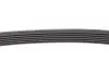 6PK1120EXTRA PASEK WIELOROWKOWY 6PK1120EXTRA CONTITECH підбір по vin на Brocar