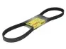 Ремень генератора Citroen C3/C4/Peugeot 307 1.4-1.6HDi 02- (6PK1090) 1 987 946 128