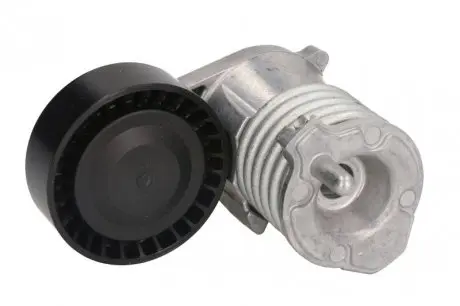 534002910 Натяжник ременя генератора Ford Focus/Volvo C30/C70/S40/V50/XC90 04-14 INA підбір по vin на Brocar