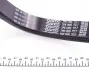 7PK1605 Ремінь генератора BMW 5 (E34)/7 (E38) 3.0i/4.0i 92- DAYCO підбір по vin на Brocar