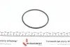 PA103 Помпа воды Audi 100/200/80/90 1.9-2.3 77-96/VW Passat 1.9-2.2 81-88 (26z) (B/B) (5 лоп.) GRAF підбір по vin на Brocar