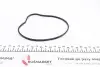 PA1058 Помпа воды BMW 5/6/7/X5 535i/540i/550i/650i/740i,Li/750i,Li/4.8i xDrive 05-10 (R/B) (8 лоп.) GRAF підбір по vin на Brocar