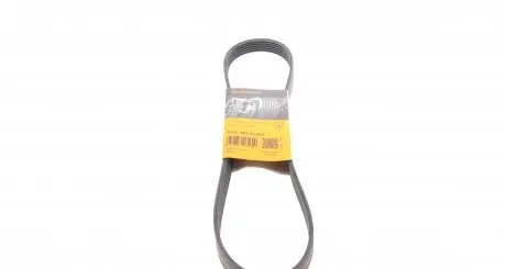 6PK989ELAST Ремінь генератора VW Polo/Up 11-/Skoda Fabia 14-/Seat Ibiza 1.0/1.6 15- CONTITECH підбір по vin на Brocar