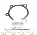 PA829 Помпа воды Hyundai Accent/Elantra/Santa Fe/Tucson/Kia Sportage 1.5/2.0CRDI 01-08 (20z) (R/B) (6 лоп) GRAF підбір по vin на Brocar