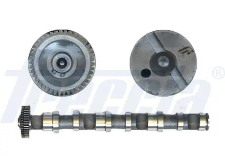 CM052188 Розподільний вал Audi A4/A6/A8/VW Passat 2.5 TDI 01-06, (випуск) FRECCIA підбір по vin на Brocar