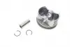 0332000 Поршень Audi A3/A4/VW Passat 1.6 96-10 (81.01mm/STD) MAHLE / KNECHT підбір по vin на Brocar
