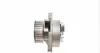 538003310 Помпа води Seat Corodba/Ibiza/VW Caddy/Polo 1.0i/1.4 96-02 (27z) INA підбір по vin на Brocar