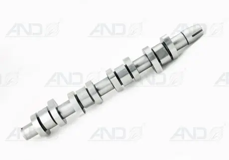 CM052127 Распредвал VW Caddy III 1.9TDI (BJB,BSU,BLS) 55/77kw 04-10/VW T5 1.9TDI (BRS,BRR) 62/75kw 06-09 FRECCIA подбор по vin на Brocar