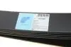 ADC48807 Рессора задняя Mitsubishi L200 05-15, (к-кт 5 листов) BLUE PRINT підбір по vin на Brocar