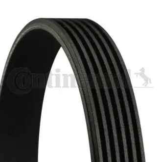 6PK882EXTRA Дорожечный пас CONTITECH подбор по vin на Brocar