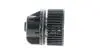 AB243000P SILNIK DMUCHAWY FORD FOCUS III MAHLE / KNECHT підбір по vin на Brocar