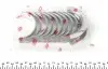 180021000821 Вкладыши коренные Ford Transit 2.0/2.4D 00- (+0.50) = 6021075000 NPR підбір по vin на Brocar