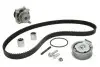 Комплект ГРМ + помпа Audi A3/Skoda Octavia/VW Golf 2.0FSI 04-10 530 0445 32