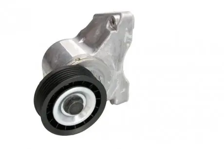 534003210 Натяжник ременя генератора Ford Focus 1.4/1.6 98-04 INA підбір по vin на Brocar