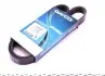 6PK987S Ремінь генератора BMW 1 (F20)/ 3 (F30/F80) 1.4/1.6/2.0i 11- DAYCO підбір по vin на Brocar