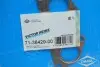 713842900 Прокладка колектора випускного Audi A3/VW Passat 2.0 TDI 05-12 VICTOR REINZ підбір по vin на Brocar