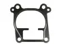 Прокладка корпуса коллектора впускного Opel Astra G 2.0/2.2 DTI 99-05 743.970