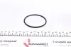 PA1041 Помпа воды Audi A3/Q7/VW Golf/Passat/Touareg/T4/T5/Porsche 2.8 V6/3.0/3.2 V6/3.6FSI 00- (R/B)(7 лоп) GRAF підбір по vin на Brocar